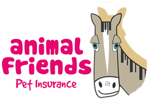 Animal Friends - Horse & pony insurance