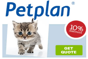 Pet Plan - Cat and kitten insurance quote