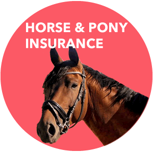 Insurance for horses and ponies