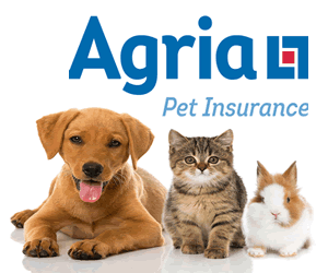 Agria - Cat and kitten insurance