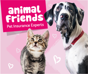 Animal Friends - Dog & cat insurance